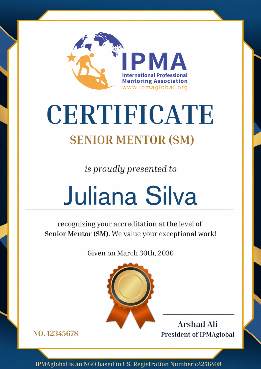 Level 3: Senior Mentor (SM)