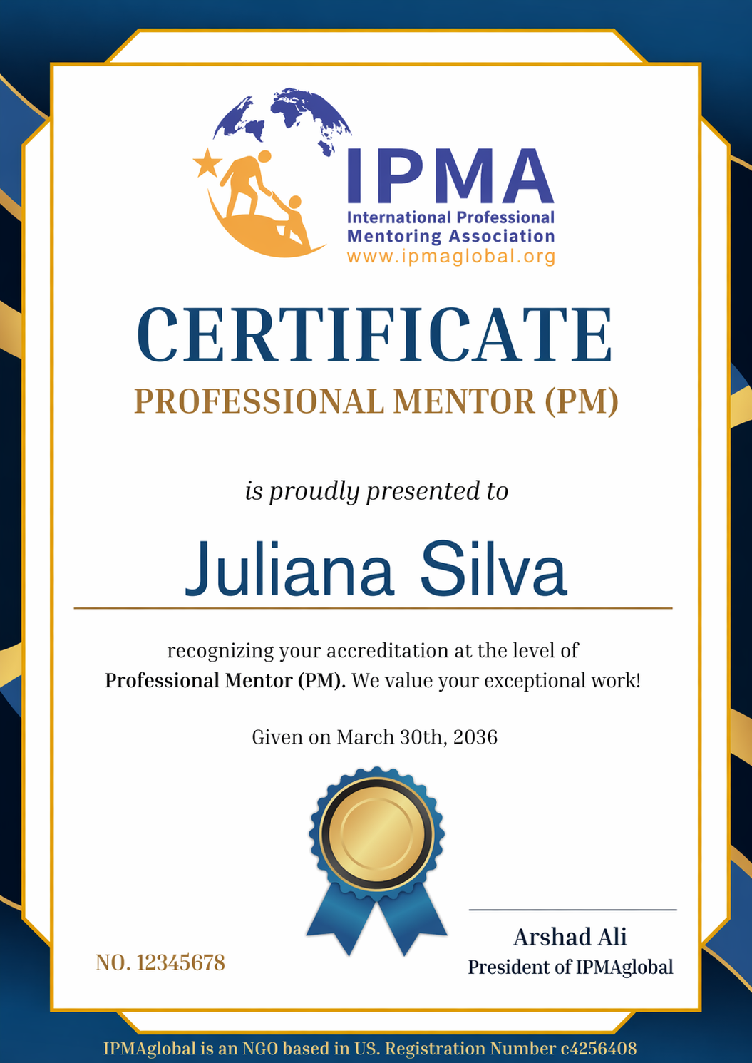 Level 2: Professional Mentor (PM)